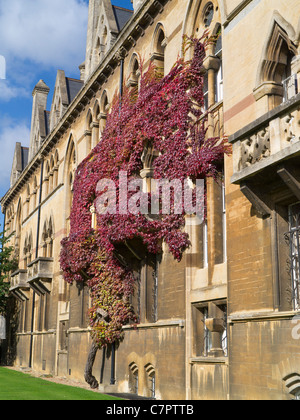 Lierre sur les murs du Christ Church College d'Oxford à l'automne 10 Banque D'Images