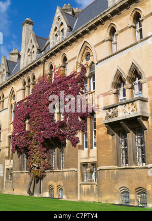 Lierre sur les murs du Christ Church College d'Oxford à l'automne 11 Banque D'Images