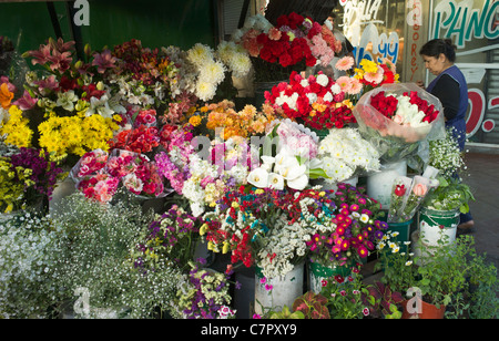 Vendeur femme vente de fleurs de décrochage. Mendoza, Argentine, Amérique du Sud Banque D'Images