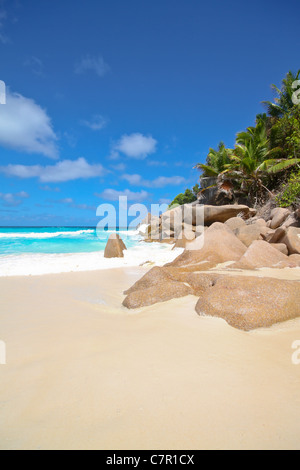 Vue du Petit Anse Plage de l'île de La Digue, aux Seychelles. Banque D'Images