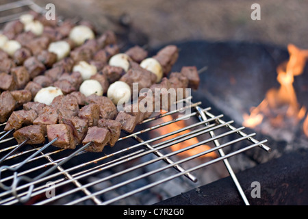 Brochettes de boeuf shish kebab la cuisson à un feu de camp à chaud. Banque D'Images