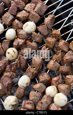 Brochettes de boeuf shish kebab la cuisson à un feu de camp à chaud. Banque D'Images