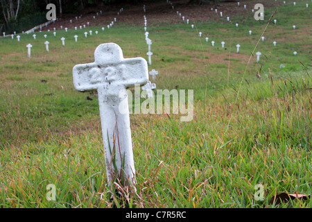 Tombes au cimetière français de l'ancienne zone du Canal de Panama. Banque D'Images