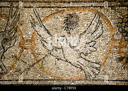 Mosaïque d'une colombe avec un rameau d'olivier sur le sol de l'église du Saint-Sépulcre de Jérusalem. Banque D'Images