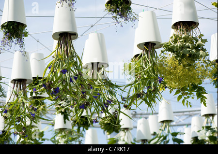 Excusez-moi pendant que j'embrasse le ciel au jardin conceptuel 2011 Hampton Court Palace Flower Show, UK Banque D'Images