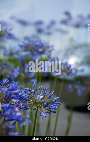 Excusez-moi pendant que j'embrasse le ciel au jardin conceptuel 2011 Hampton Court Palace Flower Show, UK Banque D'Images