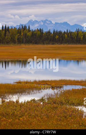 ALASKA, USA - Les terres humides près de Petersville Road. Banque D'Images