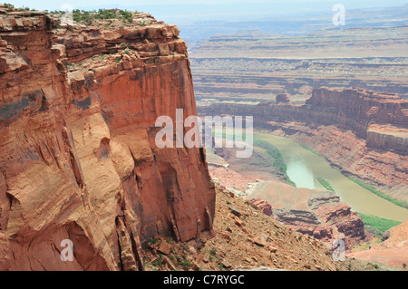 Le fleuve Colorado a des falaises de grès sculpté en formations rocheuses inhabituelles dans la région de Dead Horse Point State Park près de Moab, Utah Banque D'Images