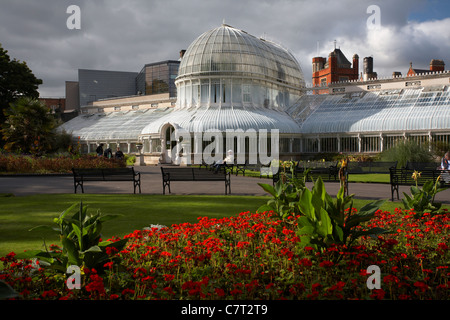 La Palm House, jardins botaniques, Belfast, Irlande du Nord, Royaume-Uni. Banque D'Images