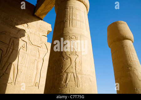 Les colonnes sculptées dans la salle hypostyle du Ramesseum, le temple funéraire de Ramsès II sur la rive ouest de Louxor, Egypte Banque D'Images