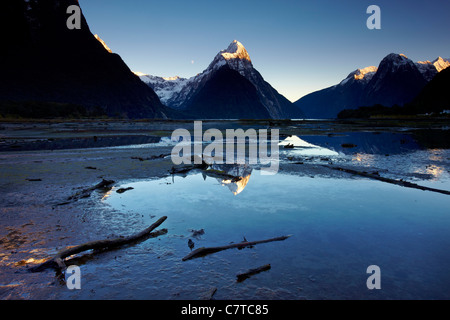 Milford Sound Driftwood. Tôt le matin la lumière frappant les sommets enneigés à Milford Sound et se reflètent parfaitement dans la w Banque D'Images