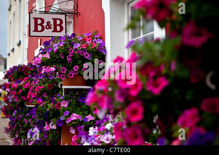 Bed and breakfast chambre d''Aberaeron fleurs extérieur West Wales UK Festival des fruits de mer de la Baie de Cardigan Banque D'Images