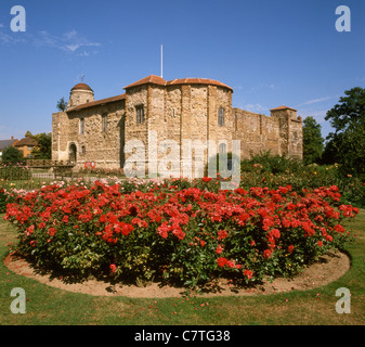 Angleterre Essex Colchester castle Banque D'Images