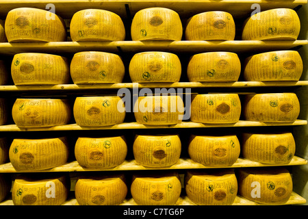 L'Italie, l'Emilie Romagne, Castelnovo Rangone. Le fromage parmesan dans la salle de stockage Banque D'Images