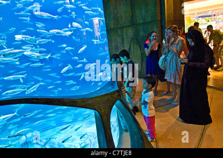 Dubaï, Émirats arabes unis, l'aquarium de l'Atlantis Palm Hotel Banque D'Images