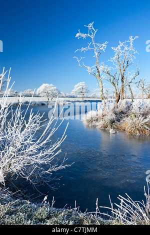 Les arbres givrés Hoar et rivière gelée en hiver, Morchard Road, Devon, Angleterre. Hiver (décembre) 2010. Banque D'Images