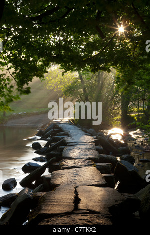 Tarr antique pont Battant Étapes, Parc National d'Exmoor, Somerset, Angleterre. Banque D'Images