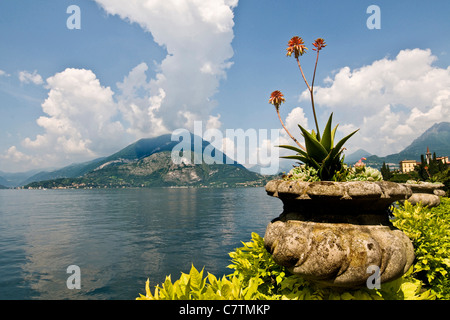 L'Italie, la Lombardie, le lac de Côme, Ravello, Villa Monastero, jardin Banque D'Images