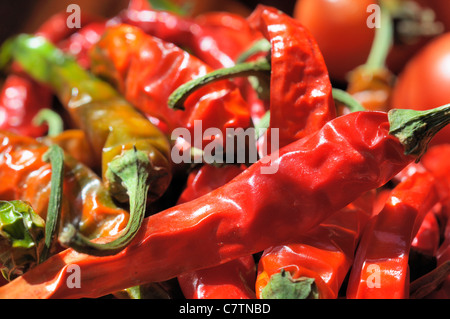 Macrophotographie de piment rouge. Banque D'Images