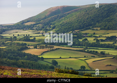 La campagne de la côte et dans la vallée de Porlock, Exmoor, Somerset, Angleterre. L'été (août) 2011. Banque D'Images