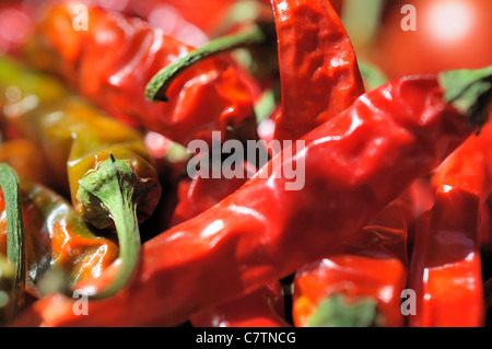 Macrophotographie de piment rouge. Banque D'Images