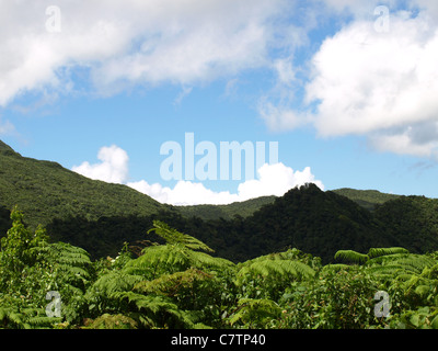 Vallée de Morne trois Pitons dans le Commonwealth de la Dominique, Antilles, Caraïbes. Banque D'Images