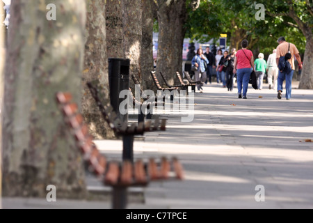 Une rangée de sièges et de troncs d'arbre sur le quai de la Tamise avec des gens qui marchent dans la distance Banque D'Images