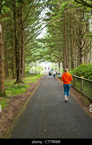 Cape Lookout est situé sur une langue de sable entre Netarts Bay et l'océan. De l'Oregon. Banque D'Images