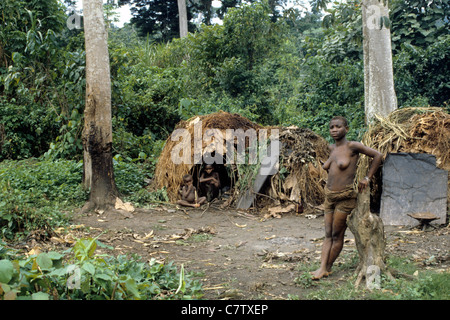 L'Afrique, Zaïre. Village pygmée dans la forêt Banque D'Images