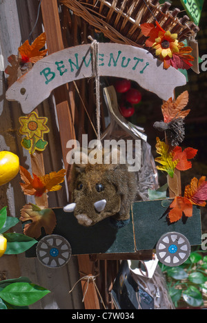 Un animal en peluche sanglier se bloque à partir d'un 'benevenuti' affiche à l'extérieur un magasin à Castiglione del Lago, Ombrie, Italie. Banque D'Images