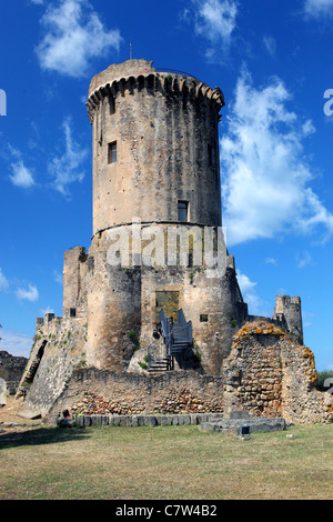 L'Italie, Campanie, Salerne, Cilento ntl. parc, Elea Velia, ruines de l'acropole tour médiévale Banque D'Images