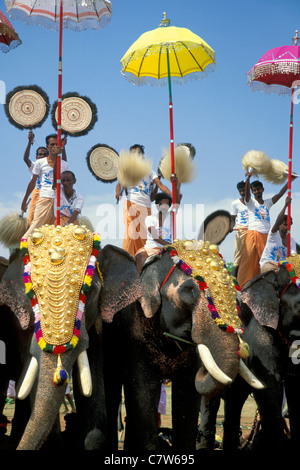 L'Inde, Kerala, Cochin, parade des éléphants Banque D'Images