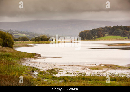 L'Irlande, Co Wicklow, Blessington Lakes, réservoir qui fournit l'eau potable de Dublin Banque D'Images