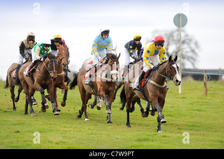 Le champ entrez dans la dernière ligne droite à la chasse du duc de Beaufort Point-à-point 2009, Gloucestershire UK Banque D'Images