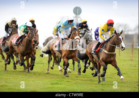 Le champ entrez dans la dernière ligne droite à la chasse du duc de Beaufort Point-à-point 2009, Gloucestershire UK Banque D'Images