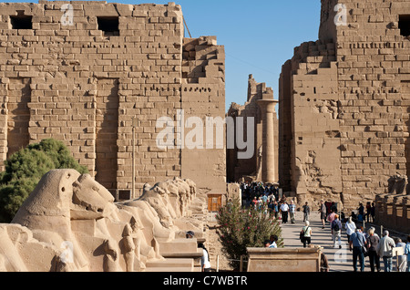 L'Avenue des sphinx à tête de bélier, Temple de Karnak, Louxor, Egypte Banque D'Images