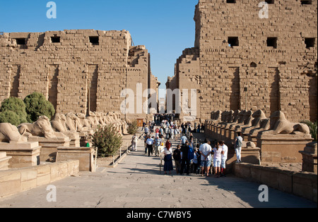 L'Avenue des sphinx à tête de bélier, Temple de Karnak, Louxor, Egypte Banque D'Images