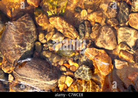 Cailloux dans un ruisseau Banque D'Images