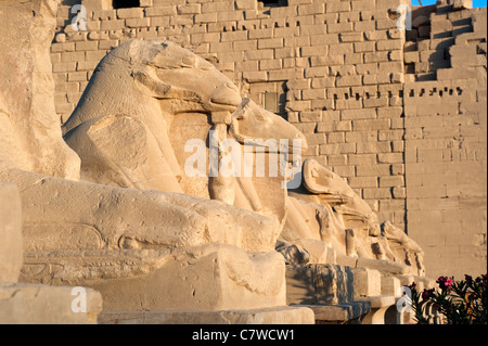 L'Avenue des sphinx à tête de bélier, Temple de Karnak, Louxor, Egypte Banque D'Images