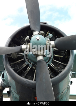 Antonov An-2T Biplan Colt Banque D'Images