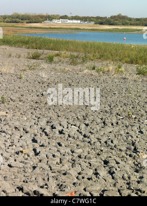 Barrage Chasewater avec de l'eau très bas Banque D'Images