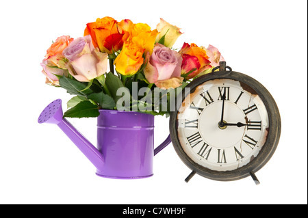 Bouquet de roses colorées en arrosoir avec vintage réveil isolated over white background Banque D'Images