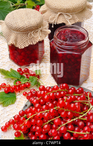 Pots de confiture de groseille rouge fait maison avec fruits frais - piscine Banque D'Images