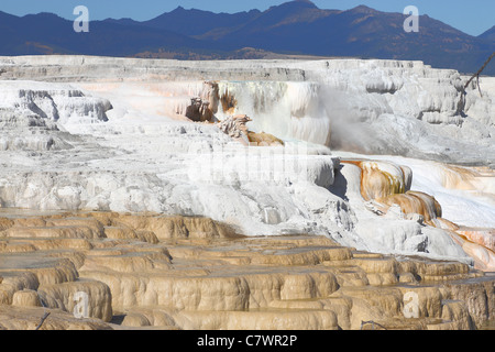 La vue sur la partie de Mammoth Hot Springs dans le Parc National de Yellowstone USA Banque D'Images