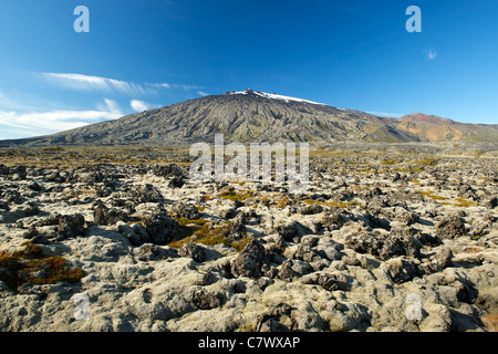 (1446m) de snæfellsjökull dans le nord-ouest du Parc National de Snæfellsjökull de Reykjavik en Islande de l'ouest. Banque D'Images