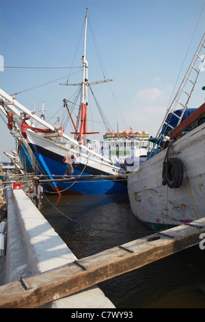 Chargement des travailleurs Makassar goélette en Port de Sunda Kelapa, Jakarta, Java, Indonésie Banque D'Images