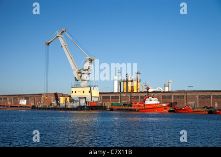 Grue, debout sur le bord du port. Banque D'Images