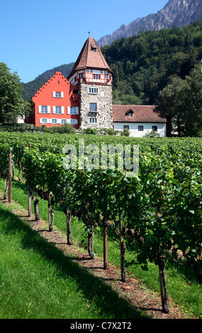 Vaduz Liechtenstein vignoble avec grand house Banque D'Images