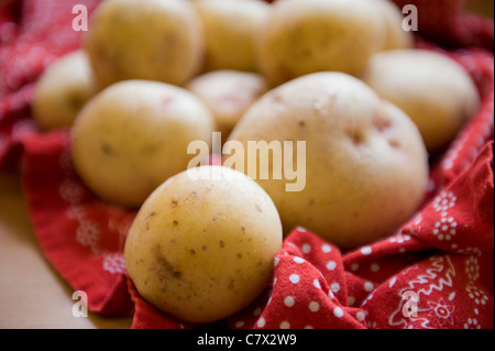 Crus pommes assis sur un linge rouge éclairé par LED Banque D'Images