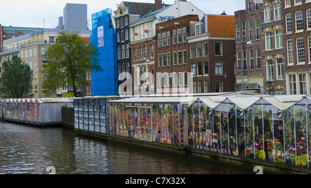 Retour de la fleur (marché), Amsterdam, Pays-Bas Banque D'Images